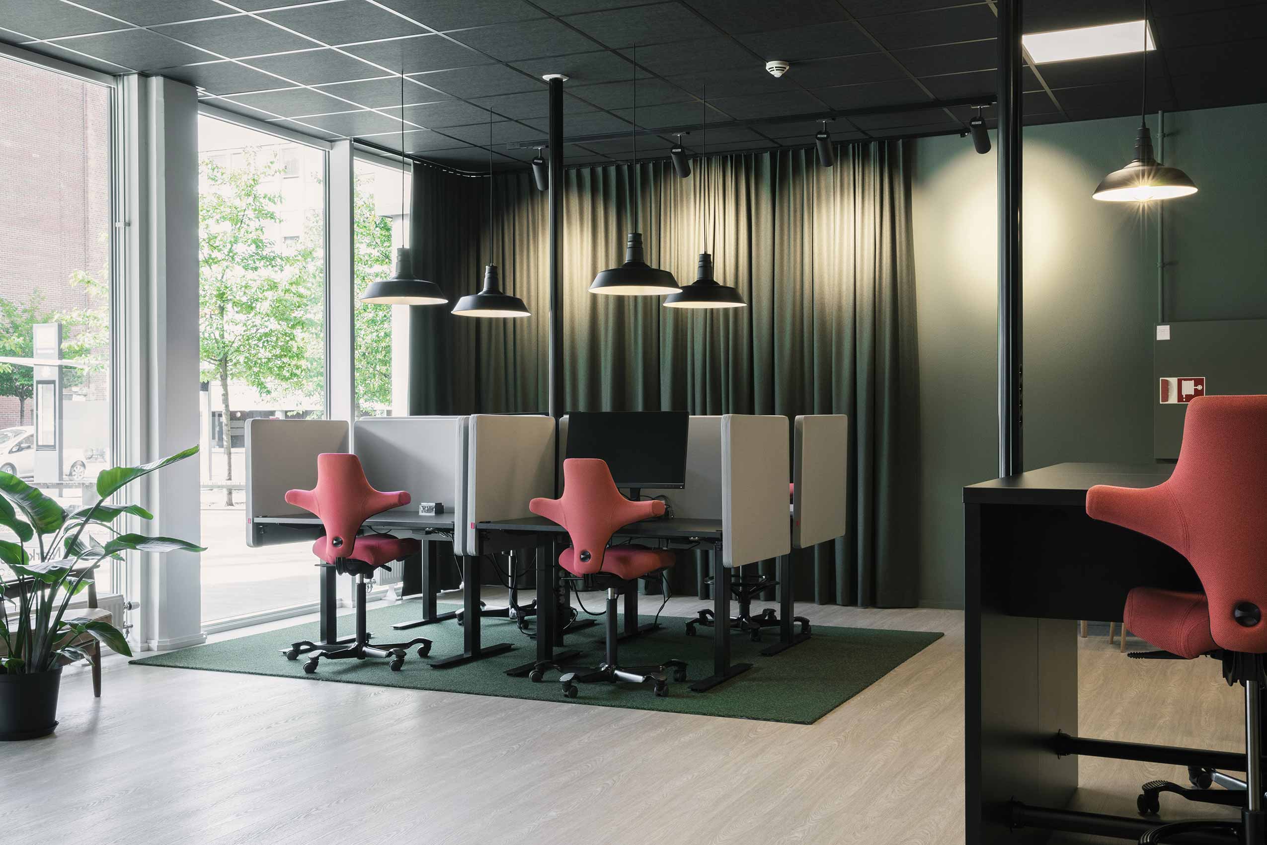 HÅG Capisco at workstations